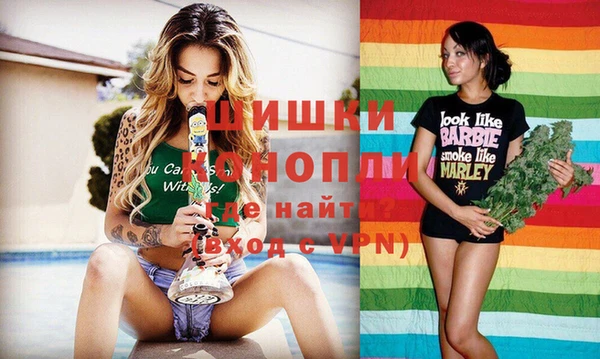 стаф Богданович