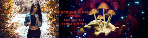 мдпв Верхнеуральск