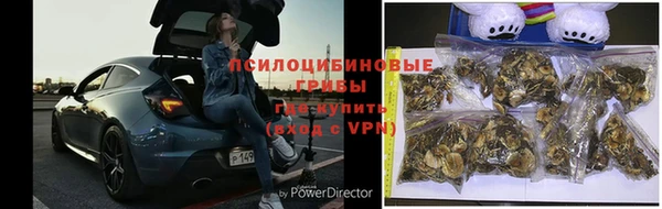 МДМА Бородино