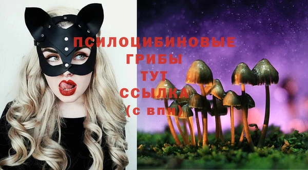 мдпв Верхнеуральск