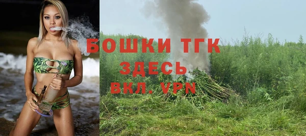 стаф Верея