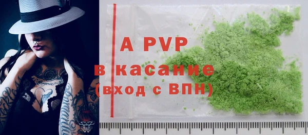 стаф Верея
